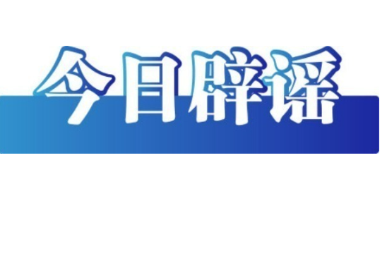 利用AI生成“车展低俗视频”者被行拘——今日辟谣（2025年12月11日）
