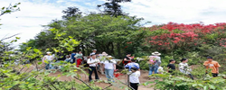 邵阳县：溶洞景观与高山花海火出圈 成游客热门打卡地
