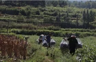 邵阳县企业爱心接力解菜农困局 1万斤滞销茄子变身助农"暖心茄"
