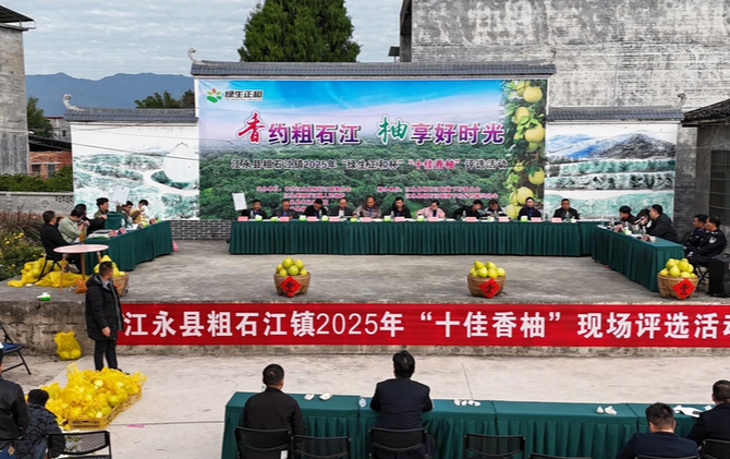 粗石江：举行“十佳香柚”评选活动