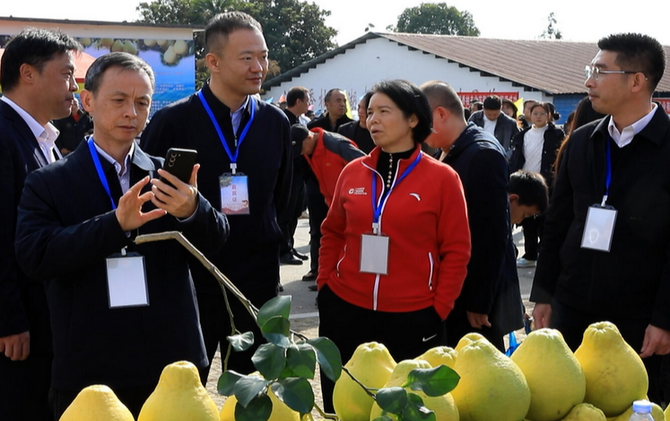 江永：庆香柚丰收节 促农文旅发展