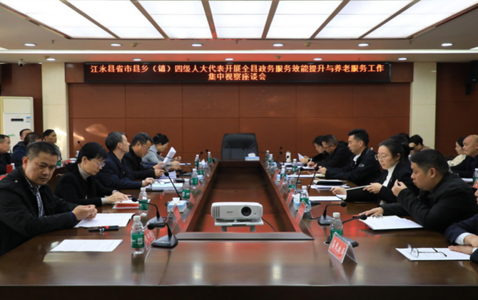 江永：四级人大代表开展政务服务效能提升与养老服务工作集中视察