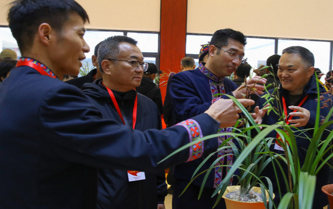 以兰为媒绘盛景 江永第三届精品寒兰展隆重开幕