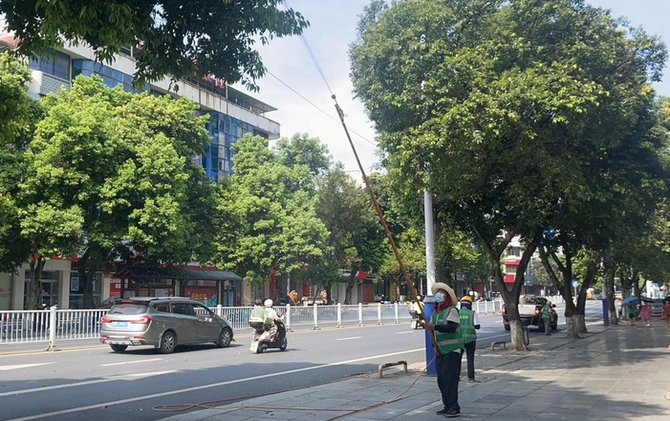 江永：精细化消杀 守护绿荫民生