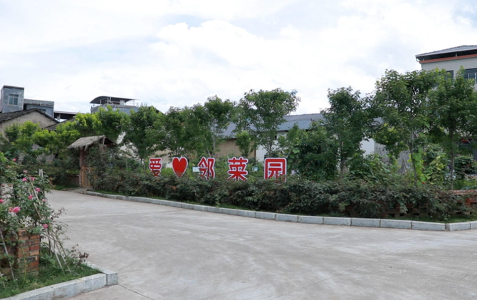 （新春走基层）小小“邻菜园”种出和美乡村新年味