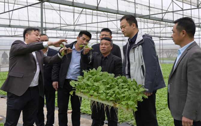 于思洋带队开展农业农村专题调研 把脉春耕备耕促发展