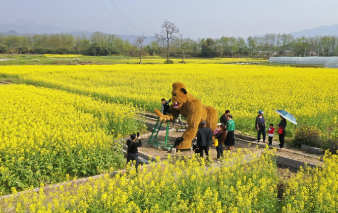 江永：千亩花海迎客来 农旅融合促振兴