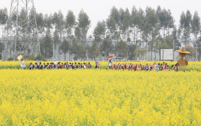 江永：油菜花开春色美 萌娃花海觅春光