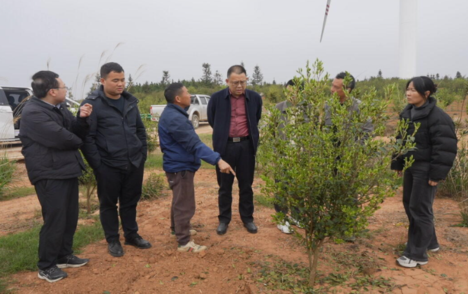 市林业局到江永县调研指导林业重点工作
