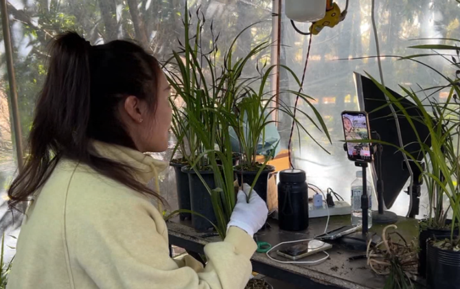 蒋上京：发展电商+合作社+农户模式让寒兰成为瑶乡致富花