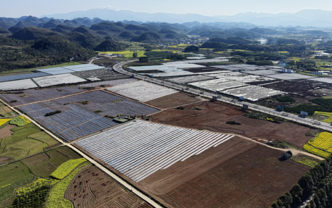 江永：科技赋能春耕 打造智能化供港澳蔬菜基地
