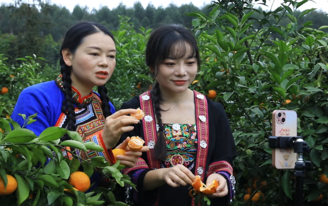 江永：电商赋能乡村产业 数字助农拓宽增收路