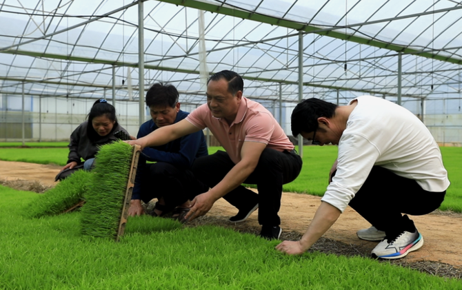 江永：农技下乡助春耕 科技赋能促丰收