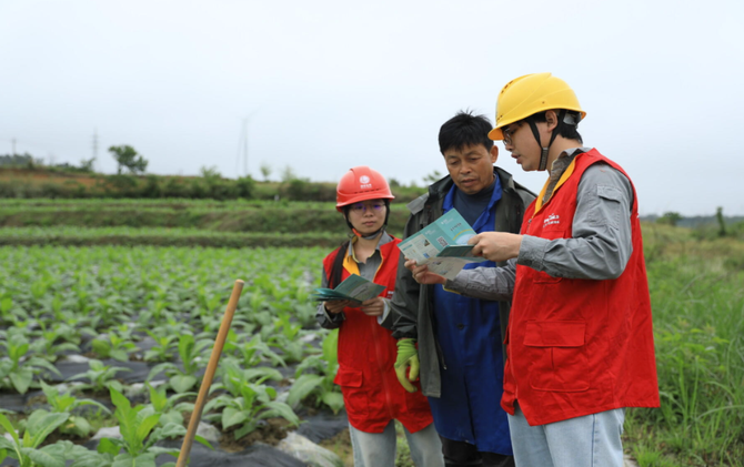 江永：“电力红”护春耕 稳产增收有保障