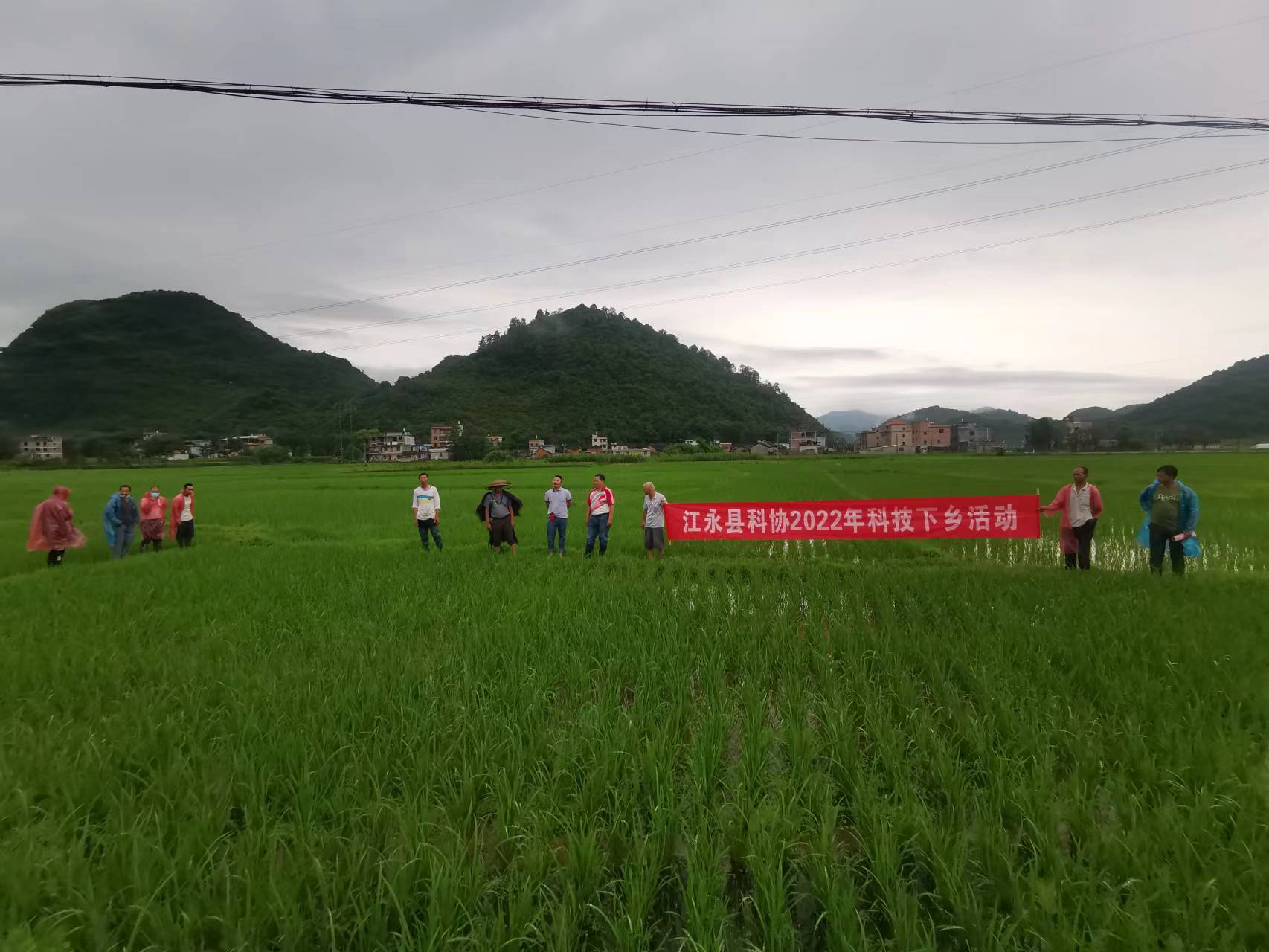 5月30日，江永县“最美科技工作者”翟子超为回岗村种粮大户现场培训水稻田间管理技术.jpg