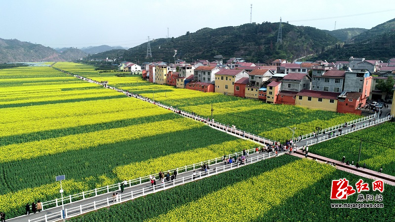 微信图片_20240417152257.png