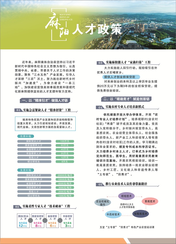 麻阳人才政策 1.jpg
