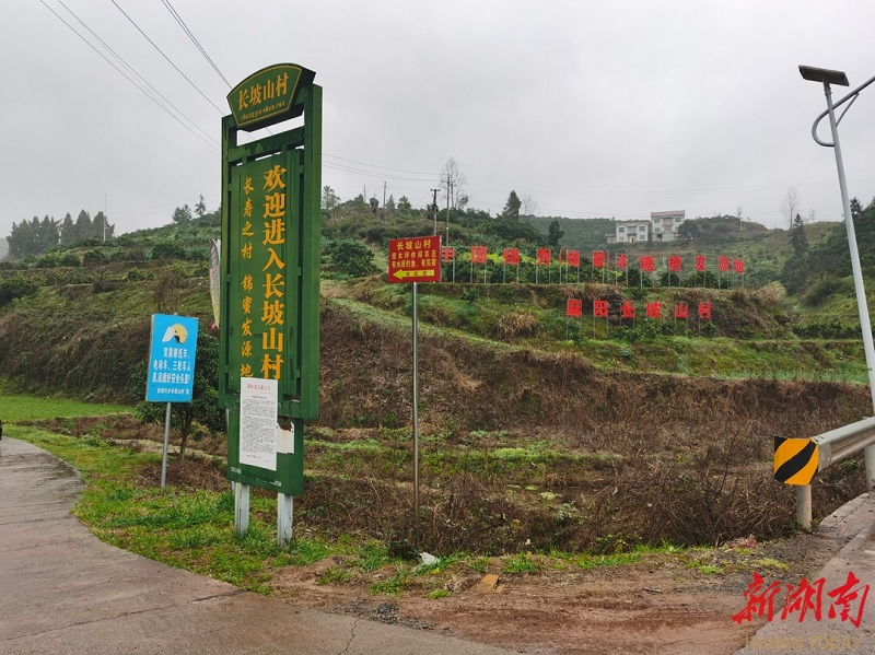 麻阳新闻网-麻阳权威新闻门户网站--红网麻阳站