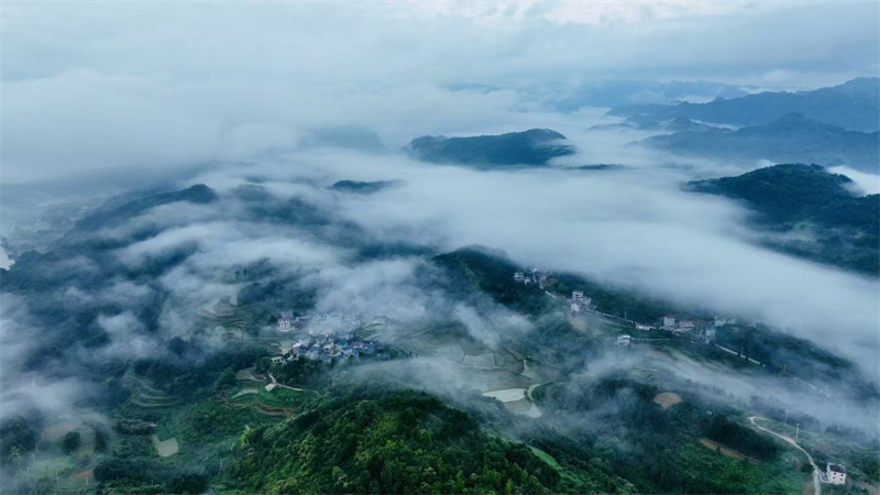 麻阳“青藏高原”郭公坪：青山飘云海  美如仙境画卷