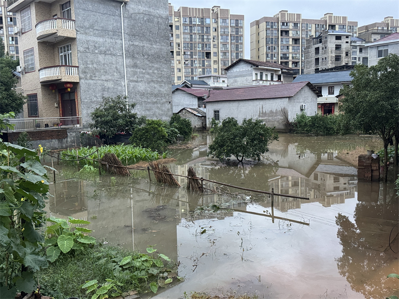 马南社区干群同心抗击内涝 守护群众平安