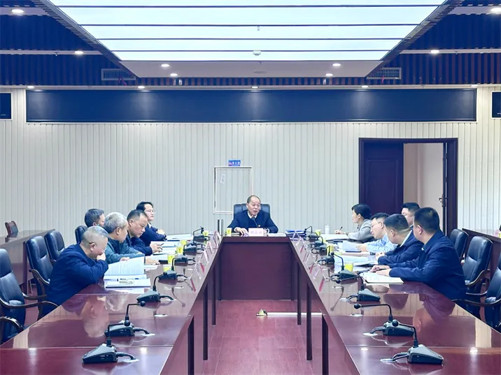 县政府党组班子召开2025年度民主生活会 胡宏林主持并讲话