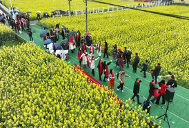 麻阳：油菜花海装扮童话小镇  美景引客助力乡村振兴