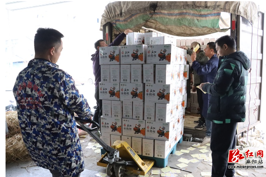 【铸牢中华民族共同体意识】画好民族团结同心圆 麻阳15吨冰糖橙发往新疆吐鲁番