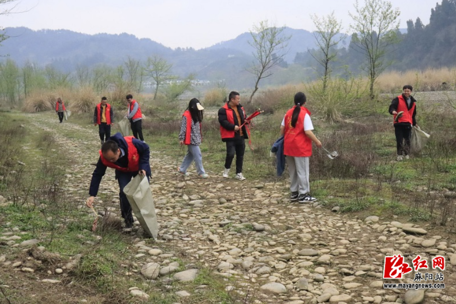 舒家村乡：开展志愿服务活动 共建清澈和美乡村