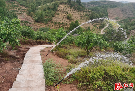 麻阳长河：高效节水灌溉结“幸福果” 村民送锦旗表心意