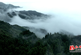 雨中西晃山 云雾缭绕如仙境