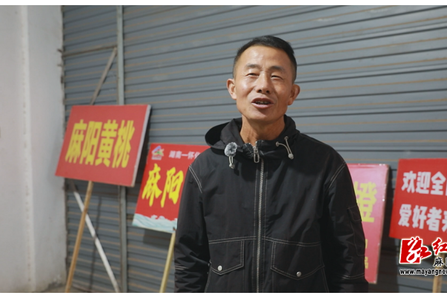 麻阳网红“灰太狼”“喜羊羊”徒步587公里赴深圳！  只为给家乡冰糖橙“代言”