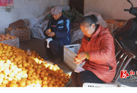 麻阳 61 岁果农的 “橙” 功密码：品改 + 电商，5 万斤果子线上售罄！