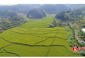 麻阳三村天然富硒地块获认证 为富硒产业发展与乡村振兴注入新动能