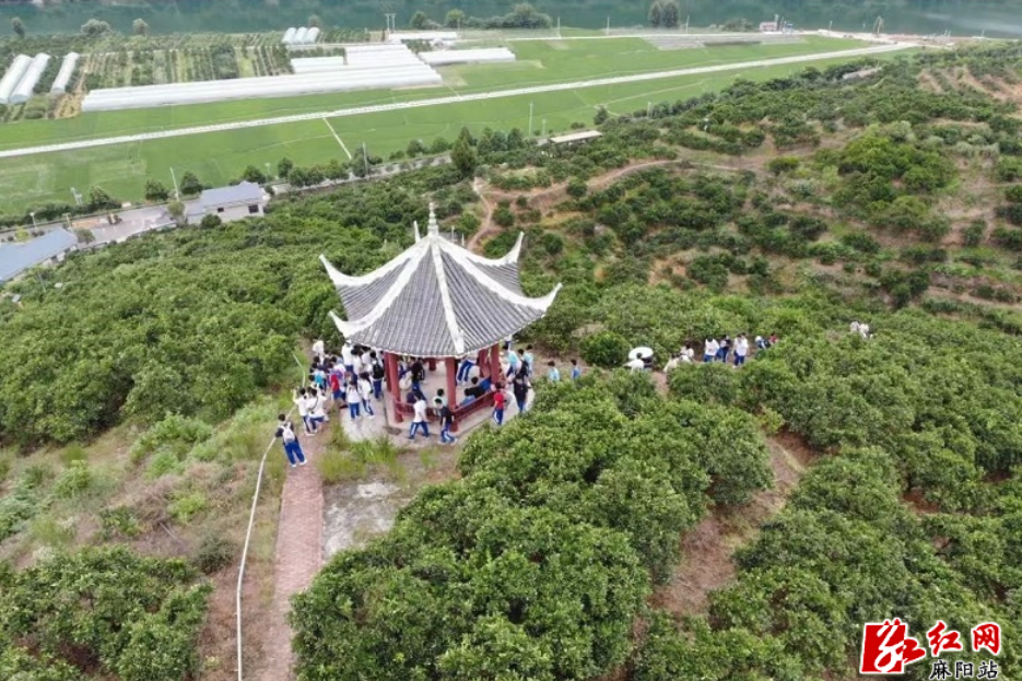 湖南师大附中98名学子探访麻阳步云坪村