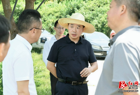 江涛开展“走找想促”调研  督导乡村振兴工作并看望慰问市派驻村工作队及困难群众