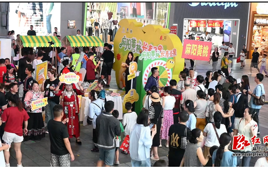 长沙步行街被 “甜蜜围攻”！麻阳黄桃携自媒体天团实力圈粉
