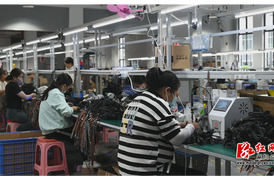 湖南荣光者照明科技有限公司投产 点亮乡村振兴路