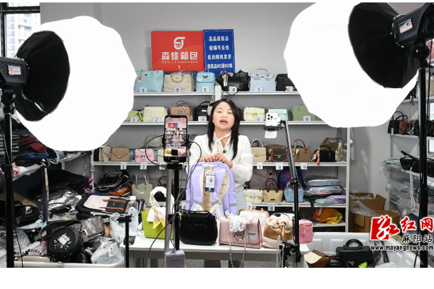 麻阳森佳箱包：外贸出口逆势飘红