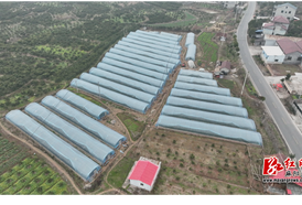 “莓”好时光！  相约麻阳绿康园