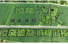 长寿苗乡