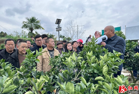 兰里镇召开柑橘高质量发展大会 以产业提质赋能乡村振兴