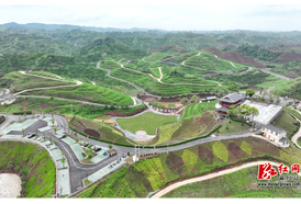 麻阳橙香园：3000亩示范园启新程绘新图