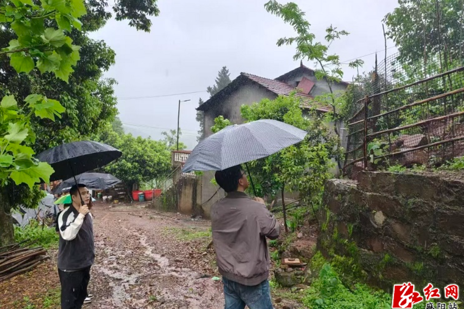 筑牢防汛“安全堤”！板栗树乡闻汛而动，全力打好地灾防治主动仗