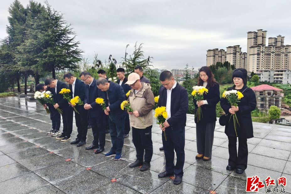 麻阳退役军人事务局开展“追寻·2026·清明祭英烈”活动
