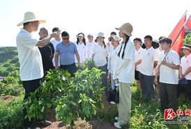 头雁领航育能手 人才赋能激活麻阳柑橘产业新活力
