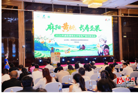 2026“麻阳黄桃 长寿圣果”品牌专场推介会在长沙举办