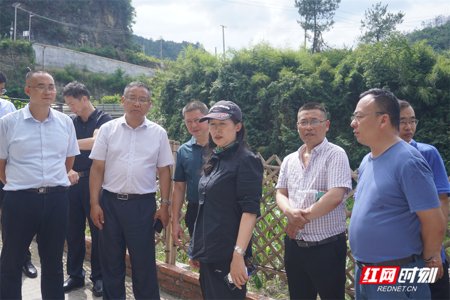 应急管理部检查组来张家界检查地质灾害应急处置和防范应对工作