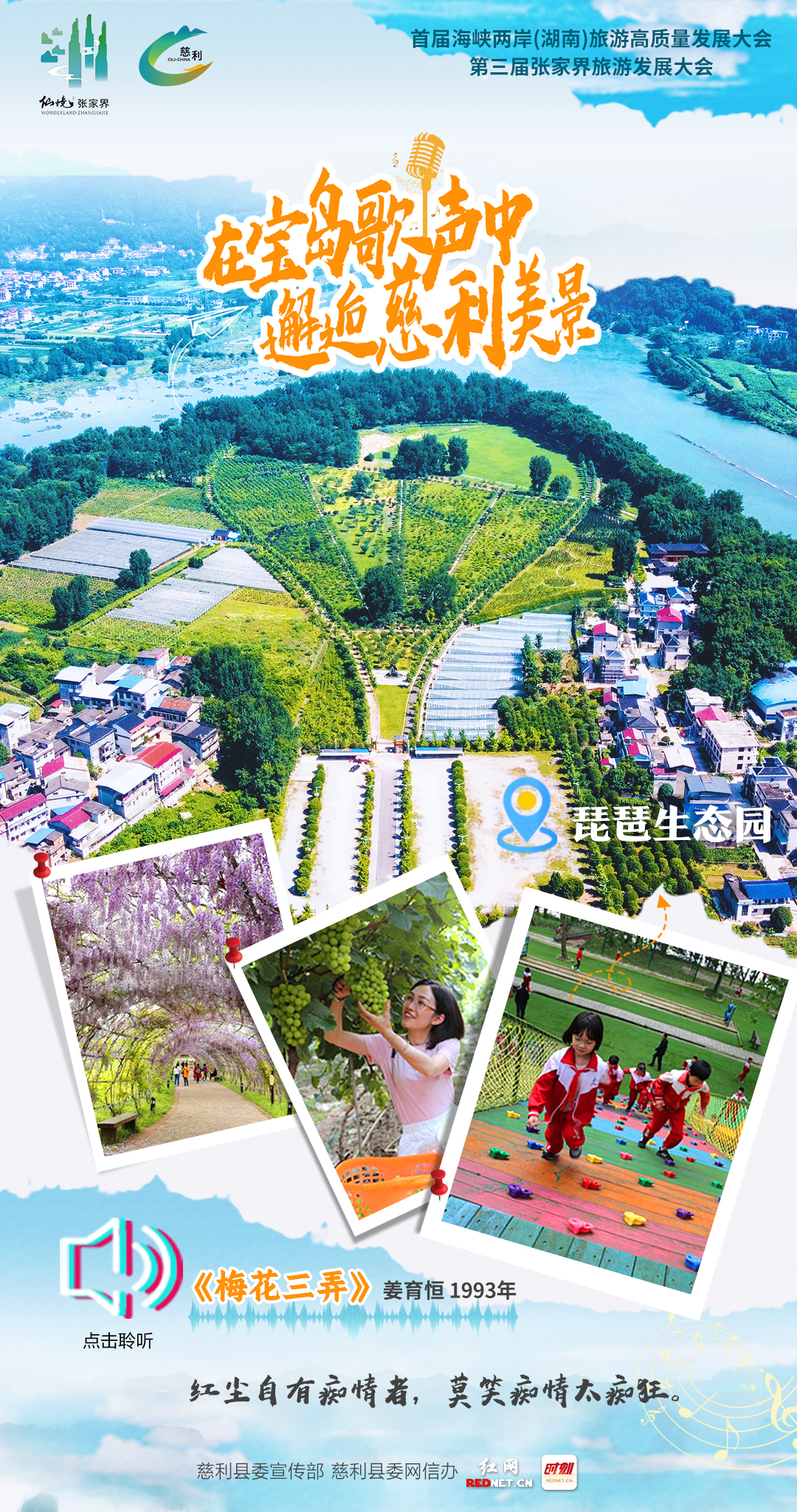 在宝岛歌声中邂逅慈利美景(琵琶花海).jpg
