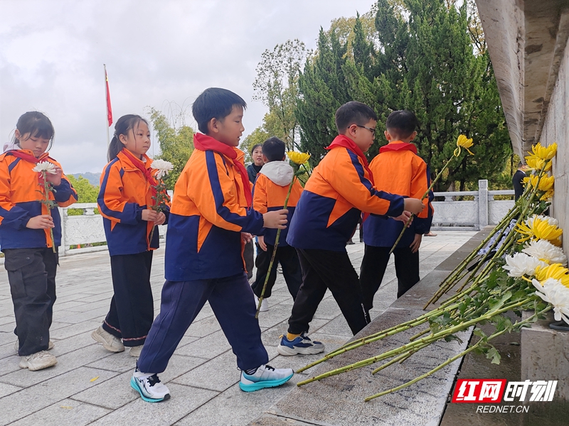 微信图片_20260403141349_1522_220.jpg 微信图片_20260403141349_1522_220.jpg