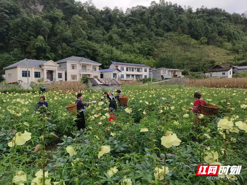 微信图片_20260713130305_2521_220.jpg 微信图片_20260713130305_2521_220.jpg